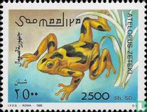 Amphibians