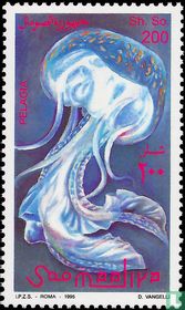 Jellyfish
