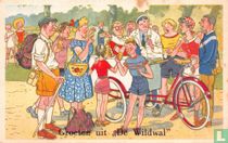 Groeten uit "De Wildwal"