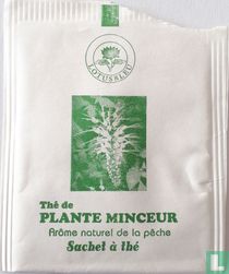 Thé de Plante Minceur