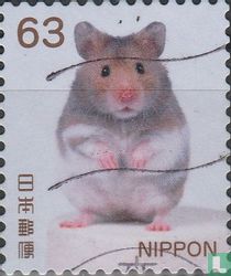 Hamster