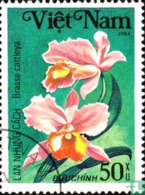 Fleurs acheter