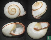 Mesanella monochroa palawanica