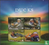 Canards