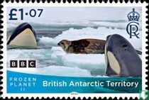 BBC Frozen Planet II