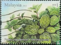 Aromatische planten