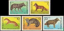 Wild animals