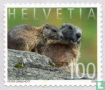 Dierenfamilies