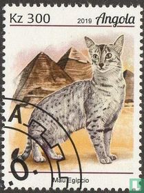 Cats