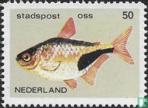 Vissen
