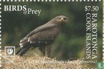 Aigle pomarin