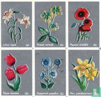 Bloemen