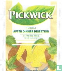  After Dinner Digestion