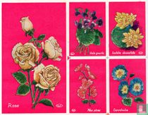 Bloemen