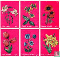 Bloemen