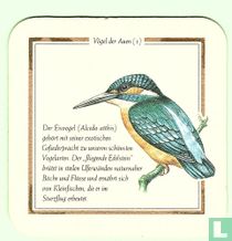 Der Eisvogel 4 Bier