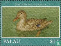 Waterfowl