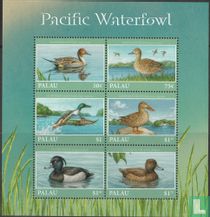 Waterfowl