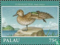 Waterfowl