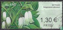 Fleurs sauvages