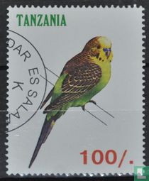 Parakeets