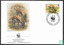 Gazelles du WWF