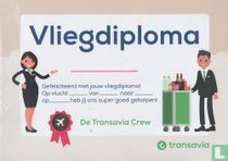 flying diploma - certificate