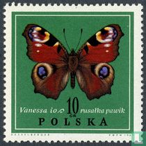 Papillon acheter