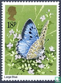 Papillons acheter