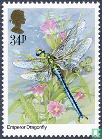 Insects