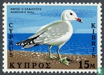 Einheimische Vögel