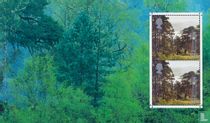 Des arbres