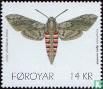 Papillons