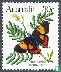 Butterflies for sale