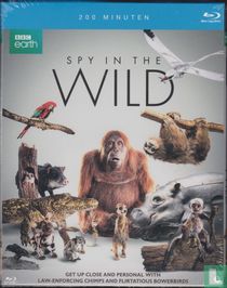 Spy in the Wild
