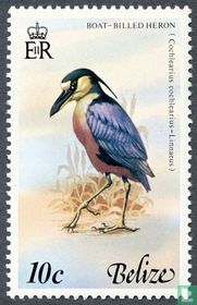 Oiseaux acheter