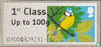 Oiseaux de Bretagne