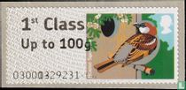 Oiseaux de Bretagne