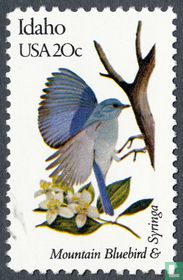 Birds and flowers for sale
