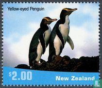 Pingouins 