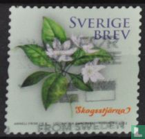 Choisir la fleur nationale