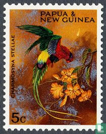 Parrots