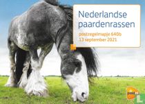 Horses