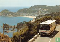 DAF buschassis