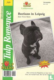 Tulp Romance 349