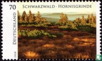 Schwarzwald - Hornisgrinde