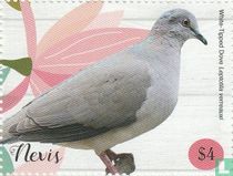 Pigeons