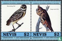 Oiseaux (I)