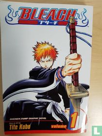 Bleach 1