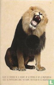Leeuw / Lion (Reliëf)